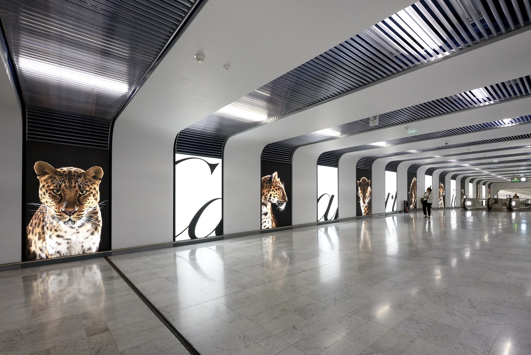 Cartier, bon voyage corridor, immersive experience